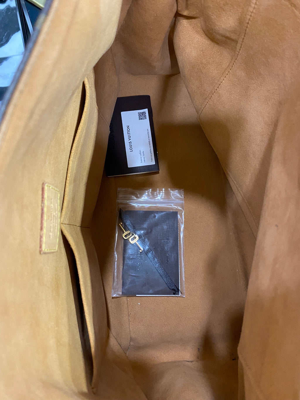 LOUIS VUITTON MONOGRAM Gaïa SHOULDER BAG