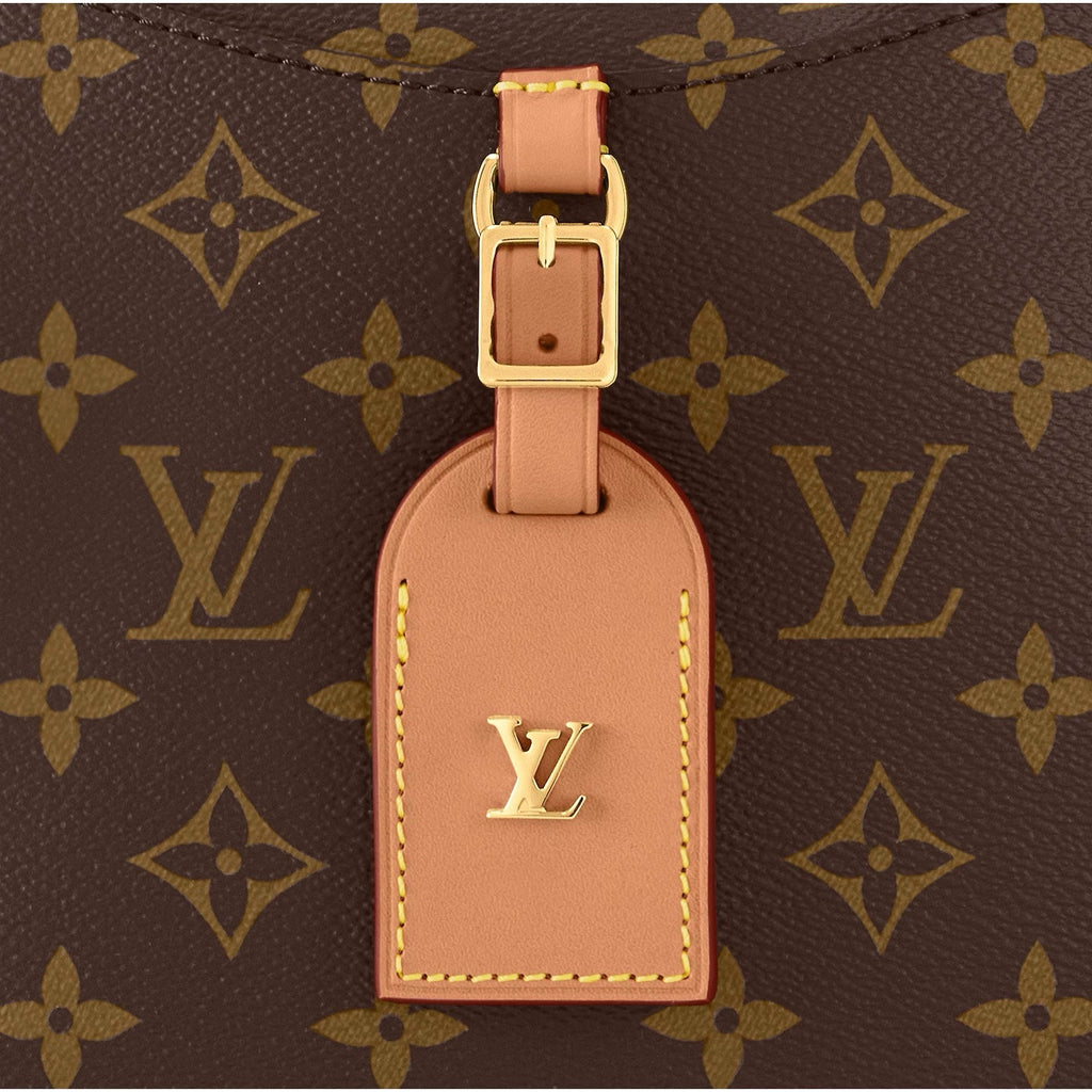 LOUIS VUITTON MONOGRAM ODÉON PM BAG