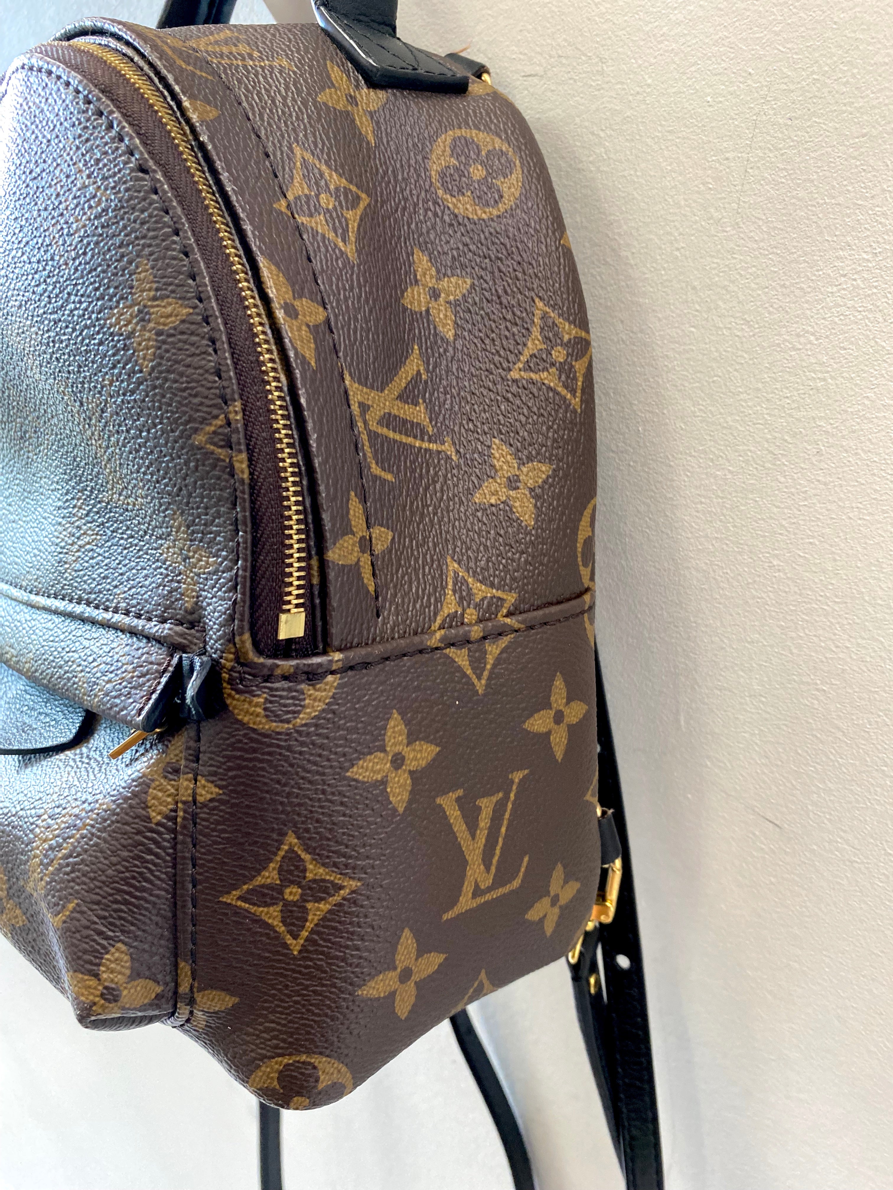 LOUIS VUITTON MONOGRAM PALM SPRINGS MINI BACKPACK
