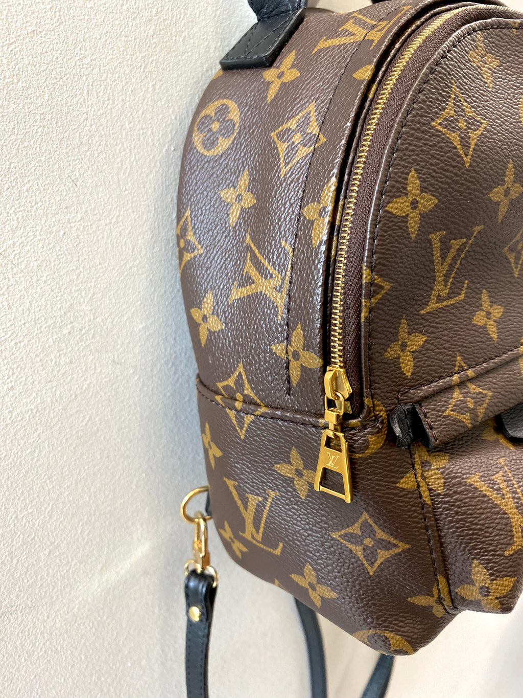 LOUIS VUITTON MONOGRAM PALM SPRINGS MINI BACKPACK