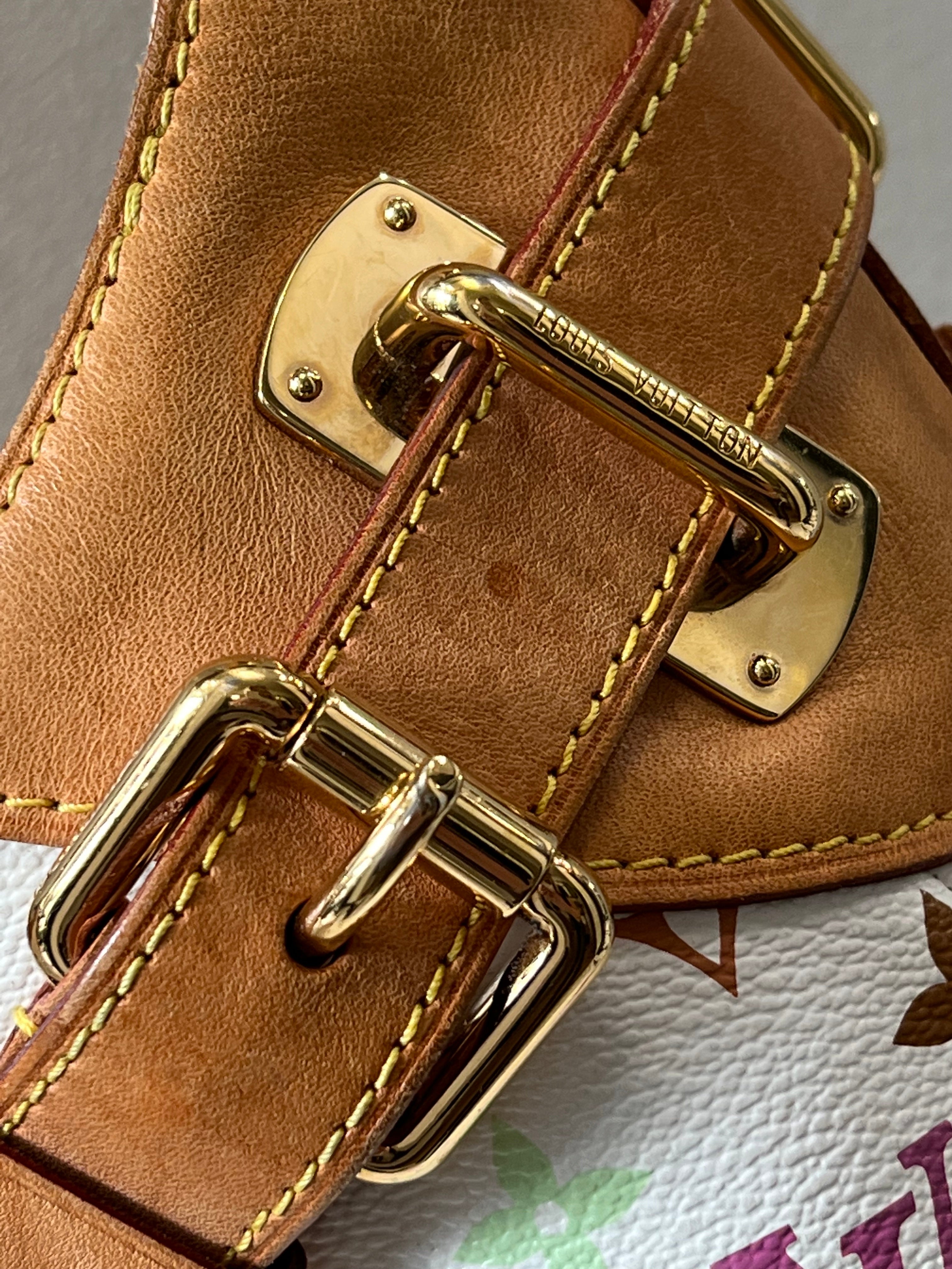 LOUIS VUITTON MULTICOLOR MONOGRAM GRETA SATCHEL