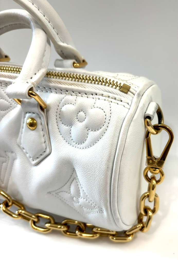 LOUIS VUITTON BUBBLEGRAM PAPILLON BB SHOULDER BAG