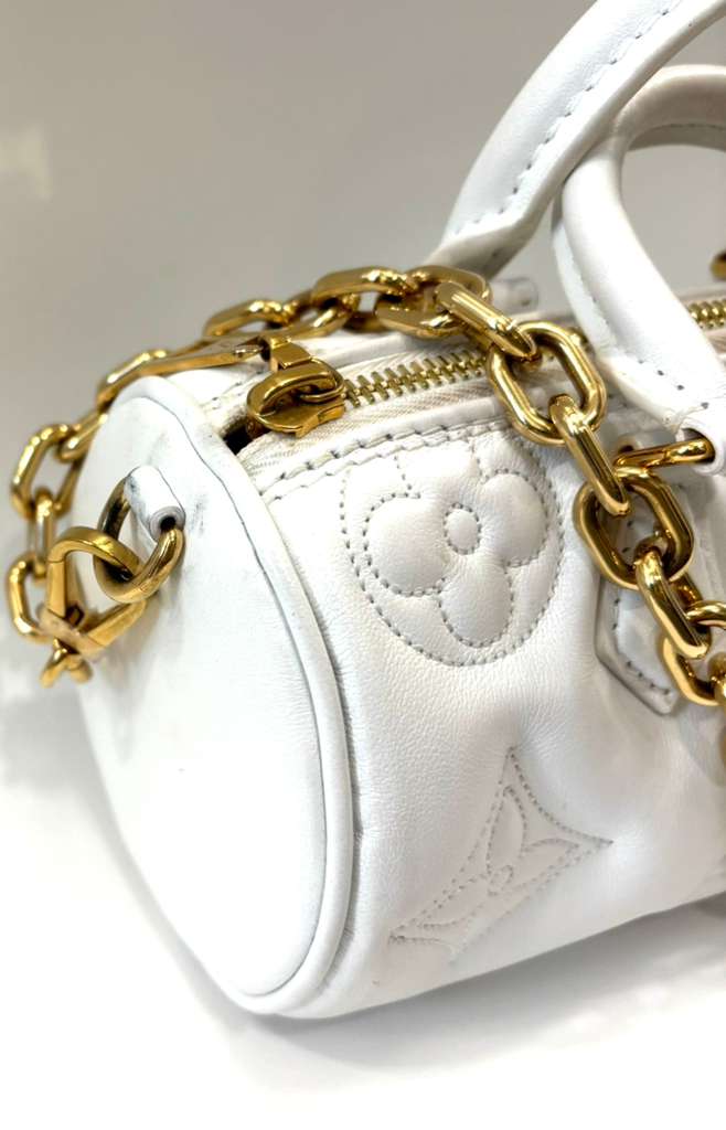 LOUIS VUITTON BUBBLEGRAM PAPILLON BB SHOULDER BAG