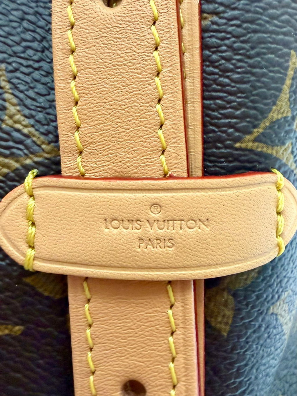 LOUIS VUITTON CARRYALL MONOGRAM PM HANDBAG