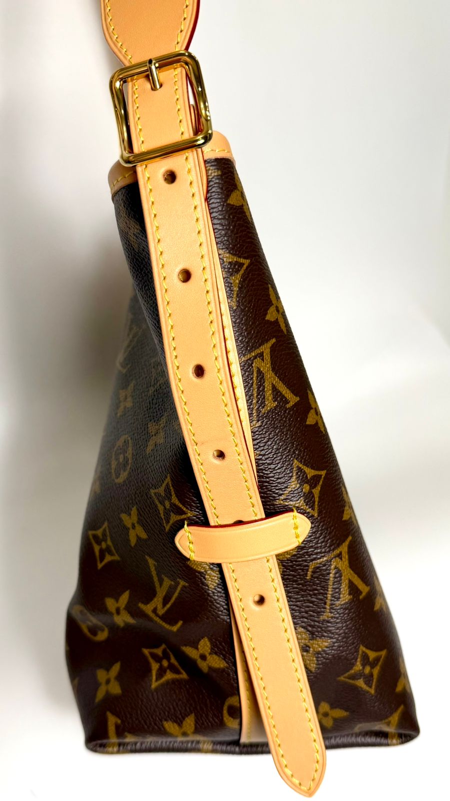 LOUIS VUITTON CARRYALL MONOGRAM PM HANDBAG
