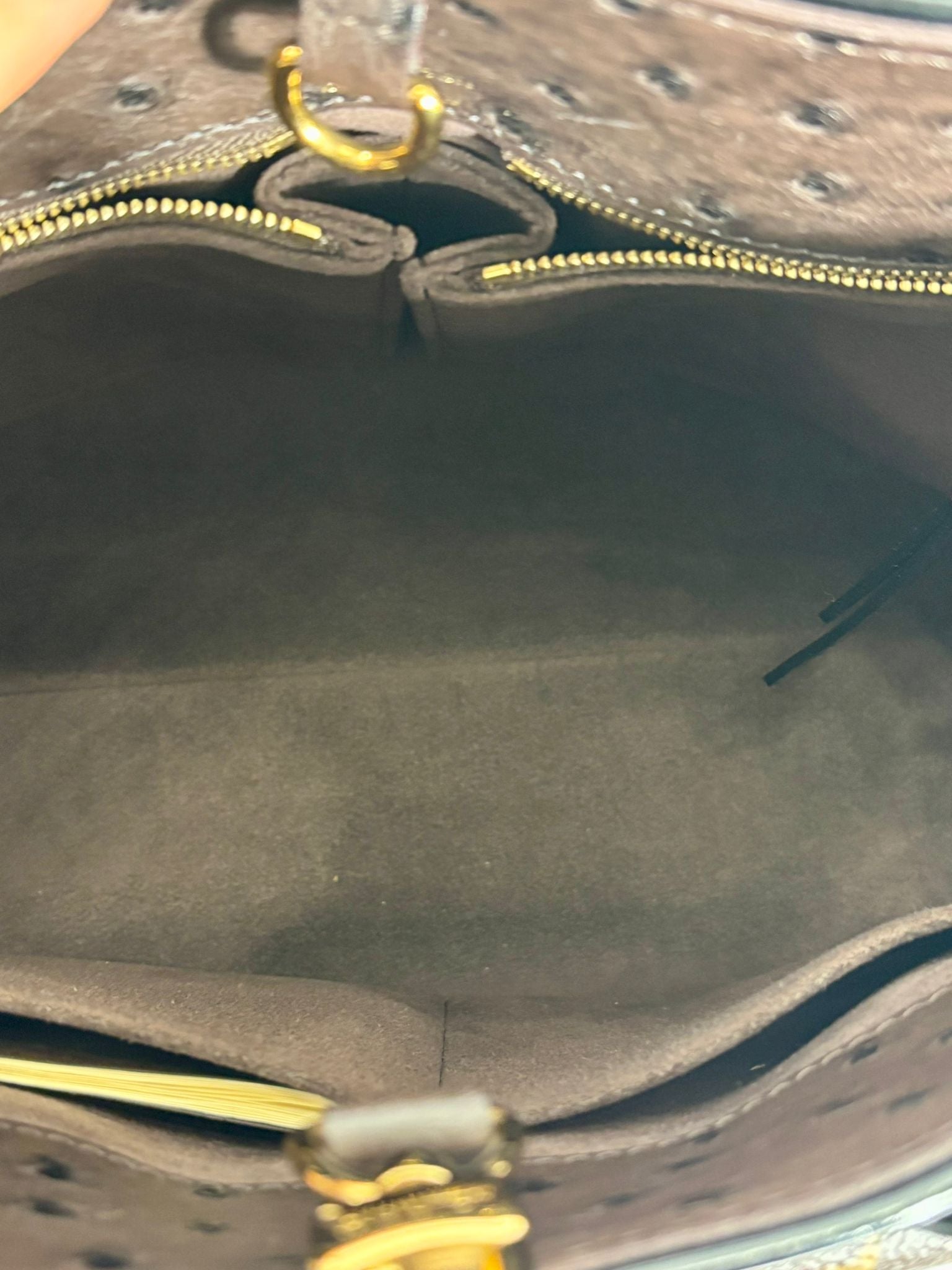 LOUIS VUITTON ETOILE EXOTIQUE MM TOTE BAG
