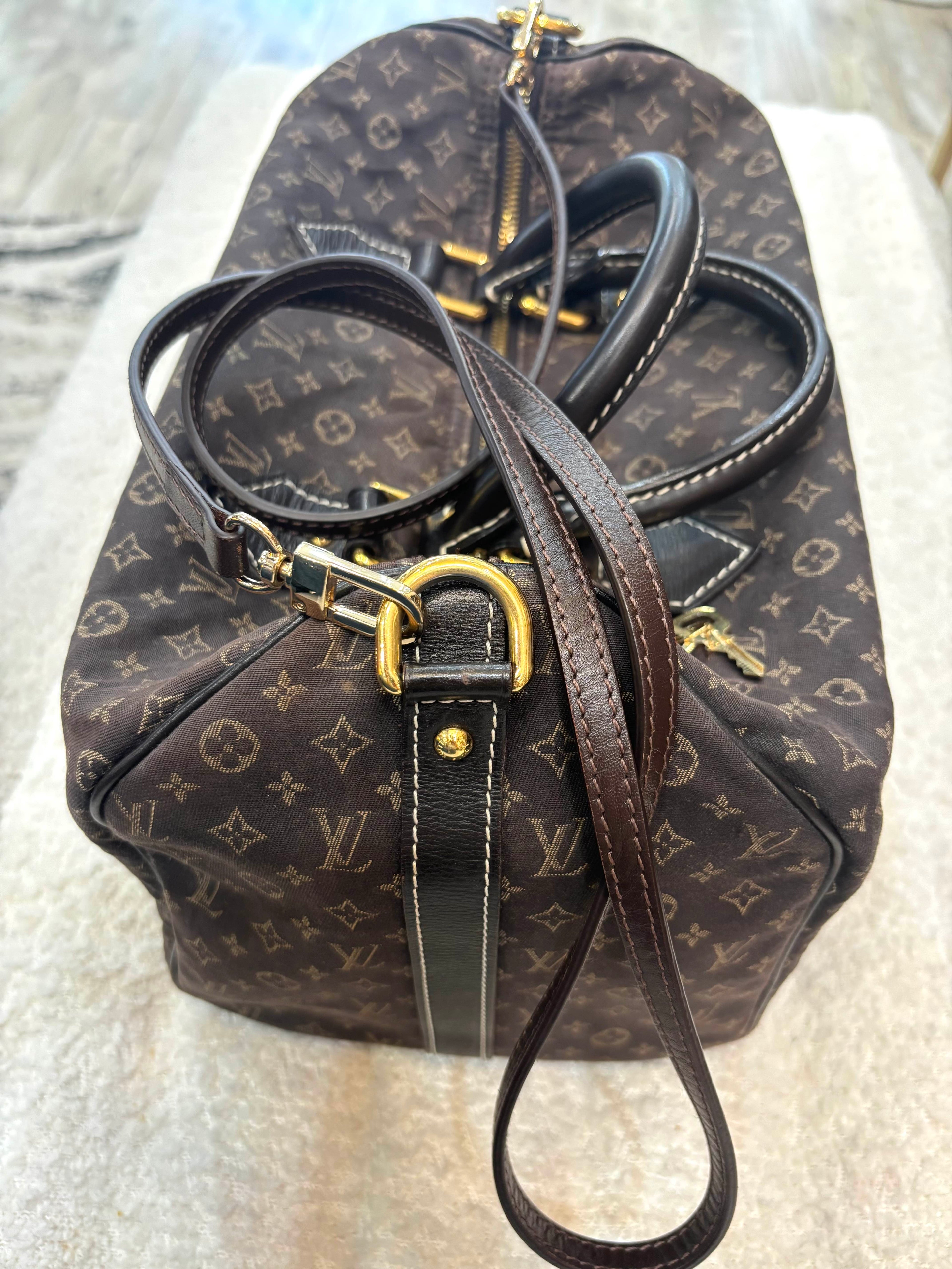 LOUIS VUITTON MONOGRAM MINI LIN BAG