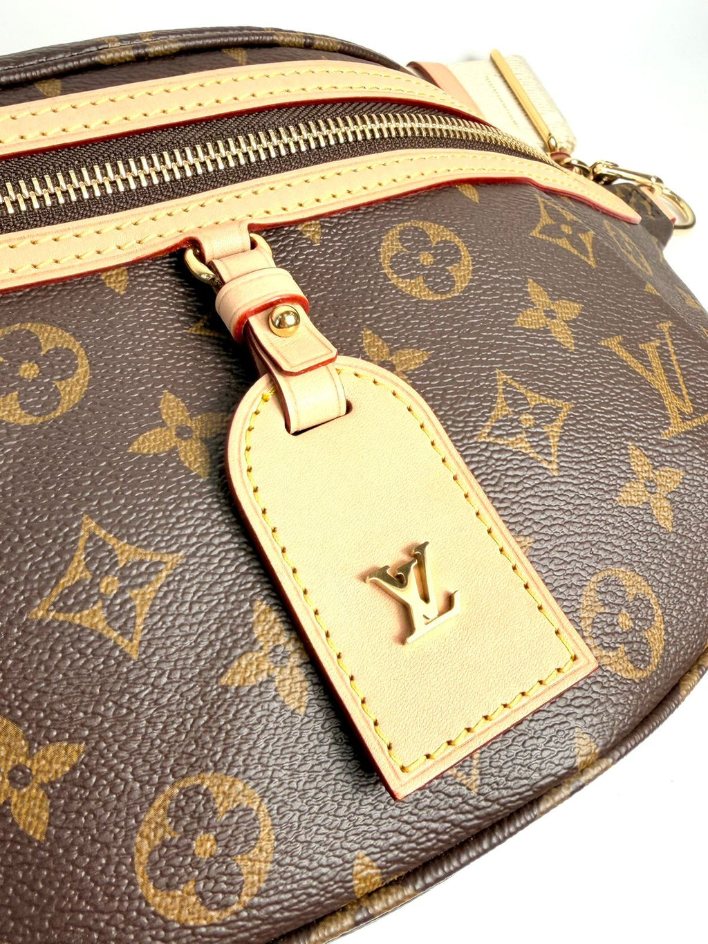 LOUIS VUITTON MONOGRAM HIGH RISE BUMBAG