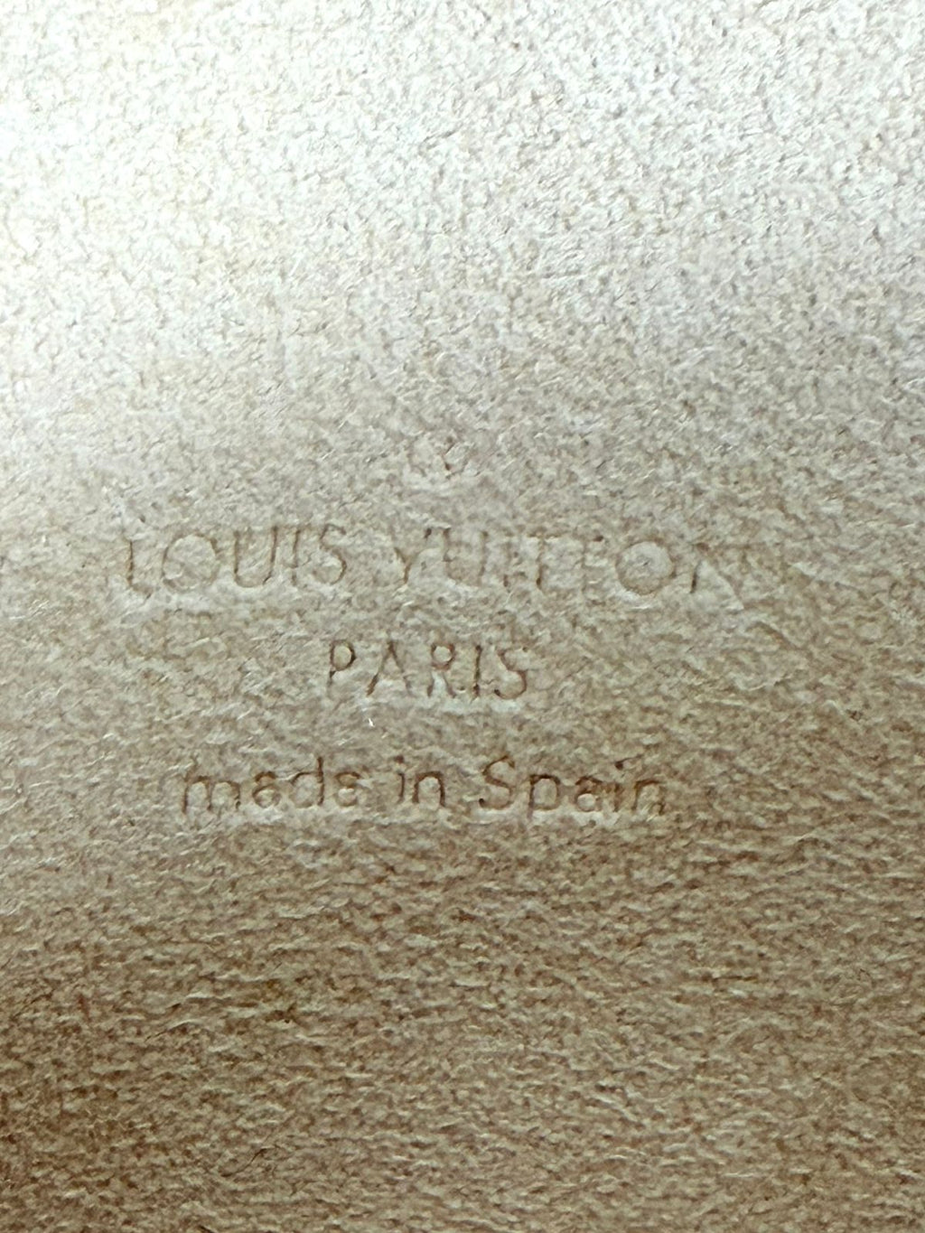 LOUIS VUITTON MONOGRAM TWIN PM POCHETTE