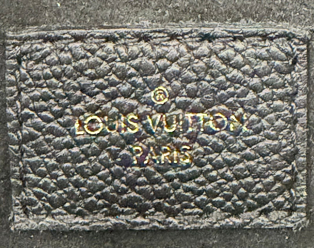 LV MONOGRAM SPEEDY 20 BANDOULIÈRE EMPREINTE LEATHER BAG