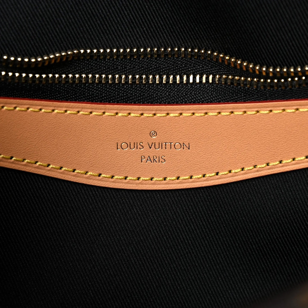 LOUIS VUITTON MONOGRAM DIANE CROSSBODY BAG