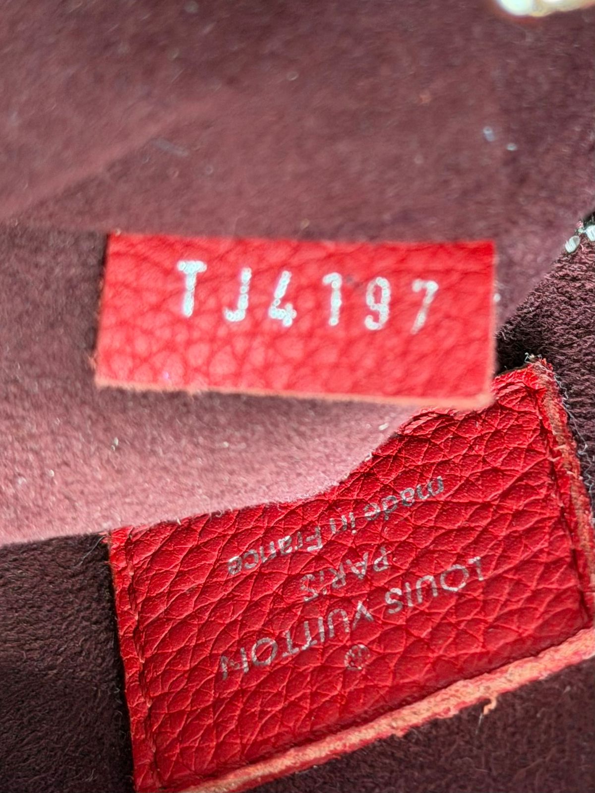 LOUIS VUITTON CALFSKIN FREEDOM MM TOTE BAG