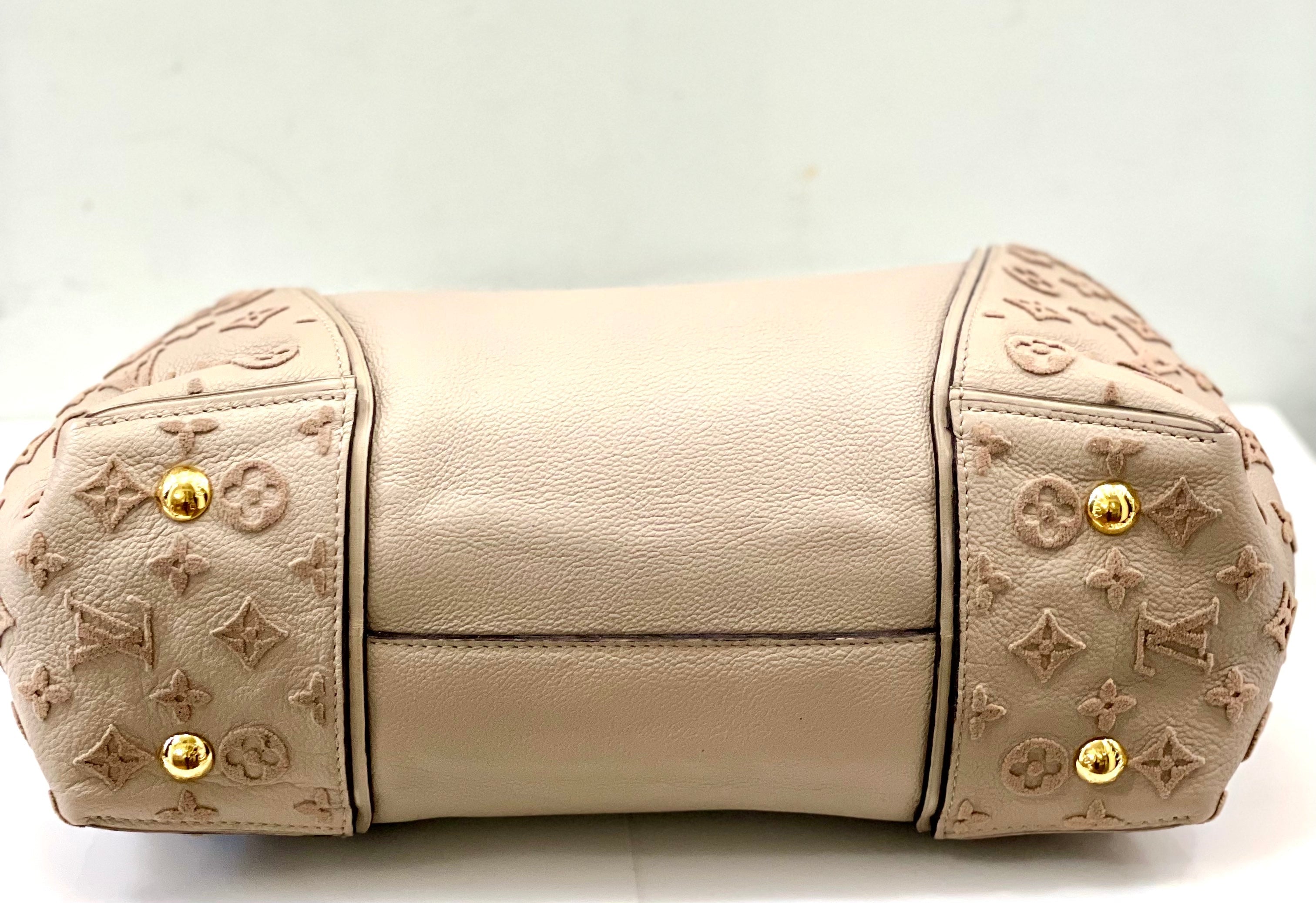 LOUIS VUITTON MONOGRAM VEAU CACHEMIRE PM BAG