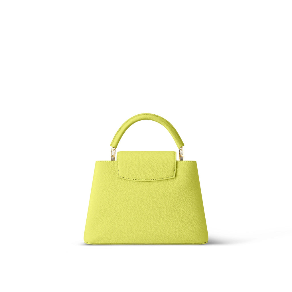 LOUIS VUITTON CAPUCINES MM LIMITED EDITION BAG