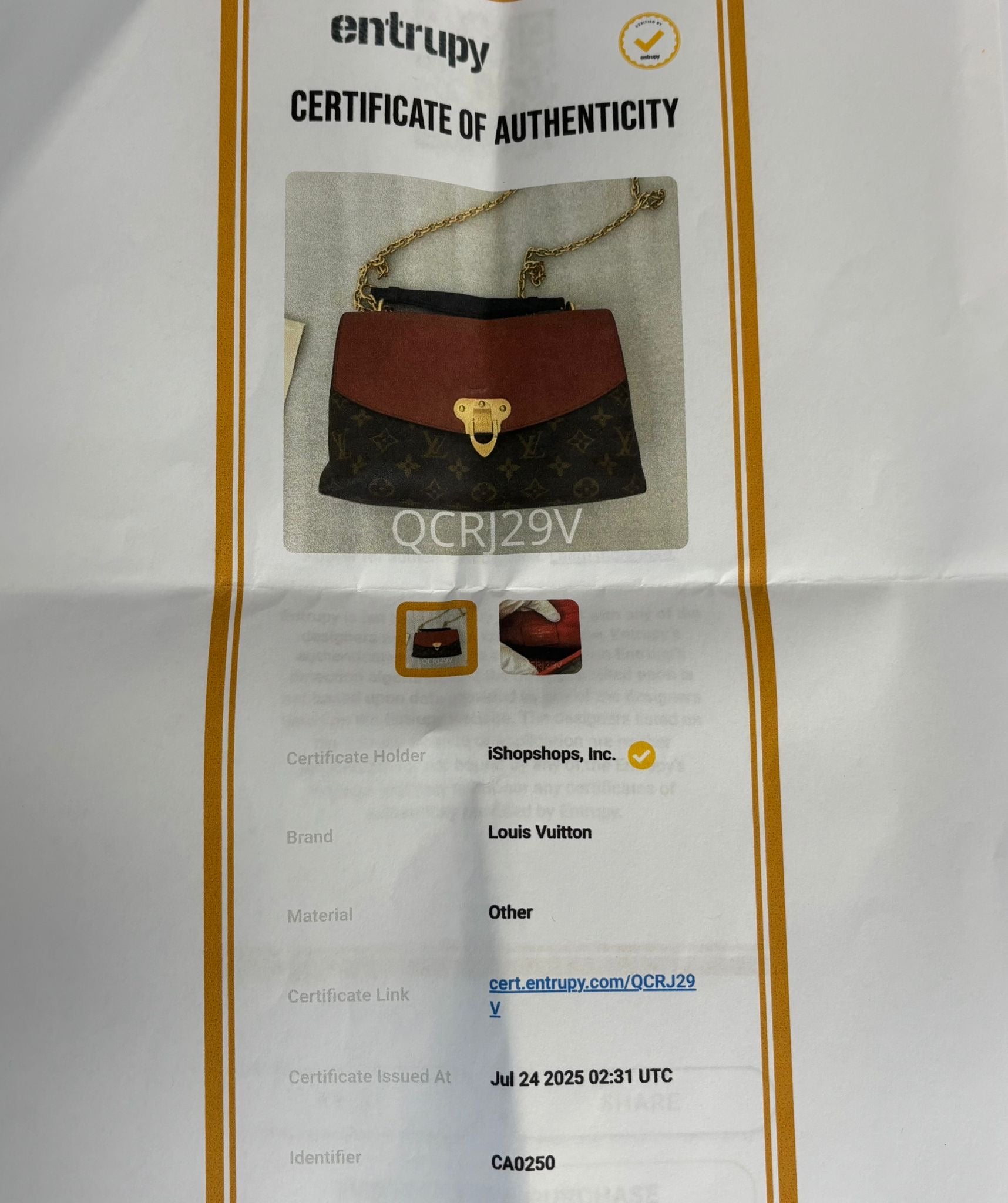 LOUIS VUITTON MONOGRAM CHERRY SAINT PLACIDE SHOULDER BAG