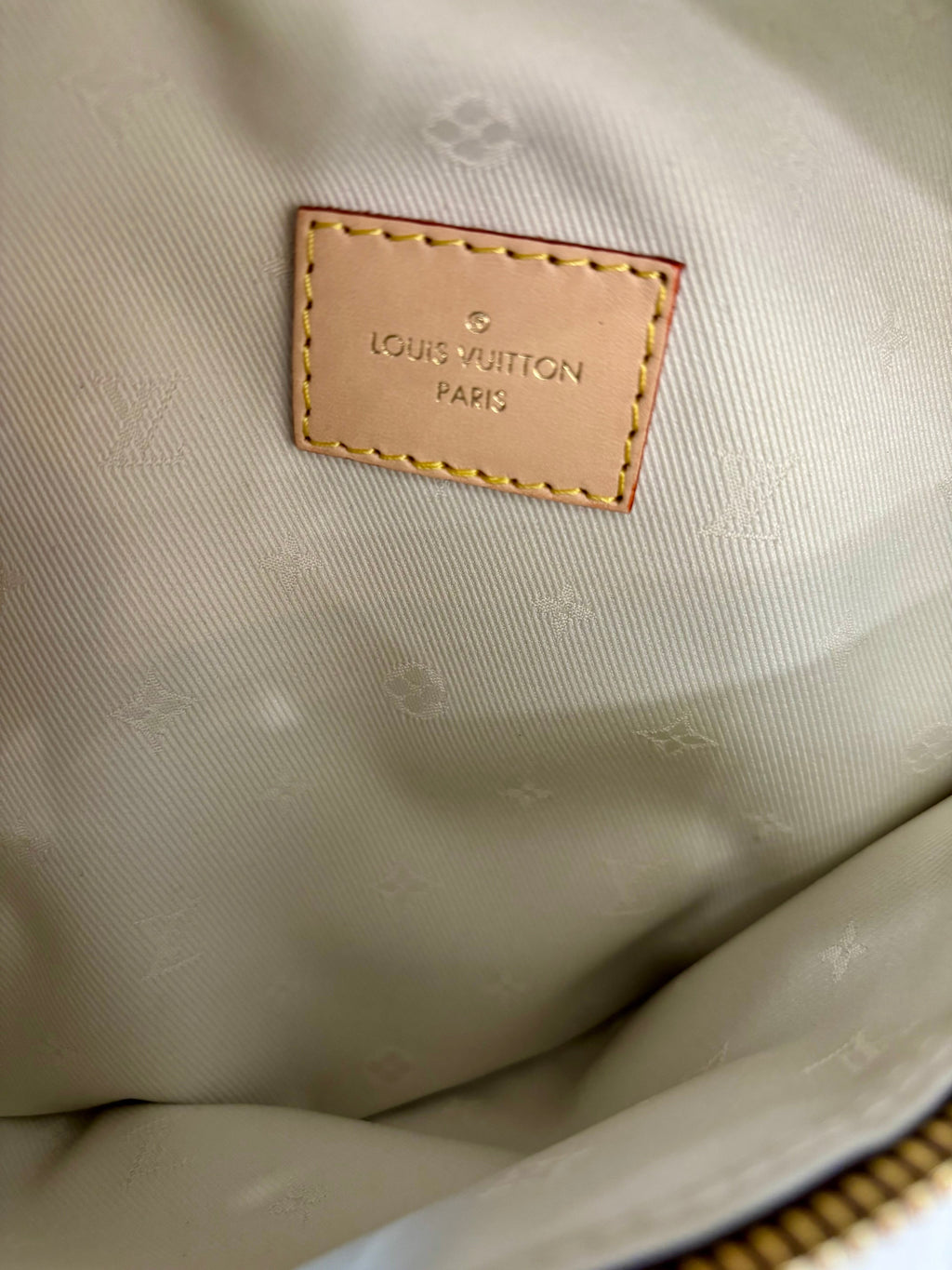 LOUIS VUITTON MONOGRAM LARGE HIGH-RISE BUMBAG
