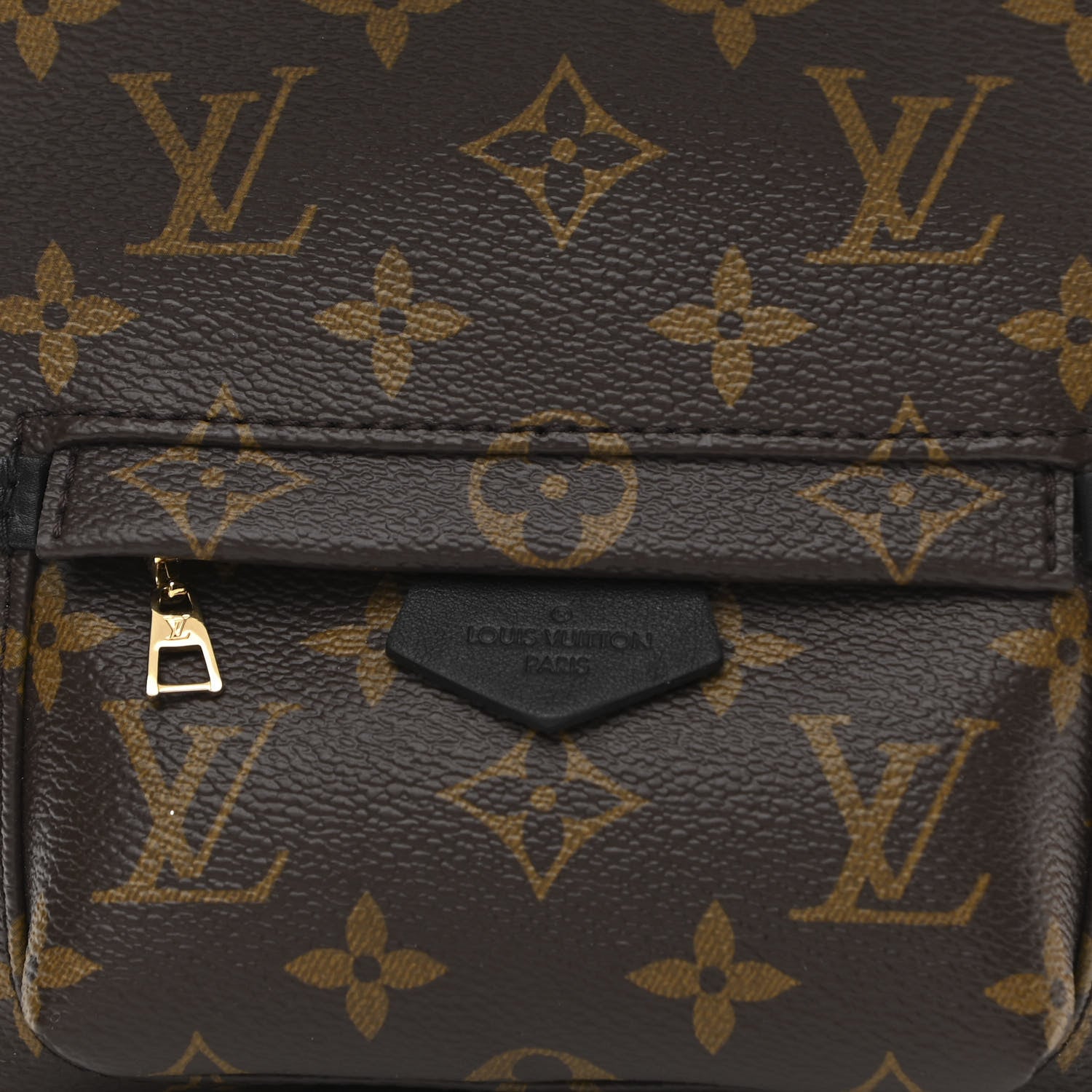 LOUIS VUITTON MONOGRAM PALM SPRINGS MINI BACKPACK
