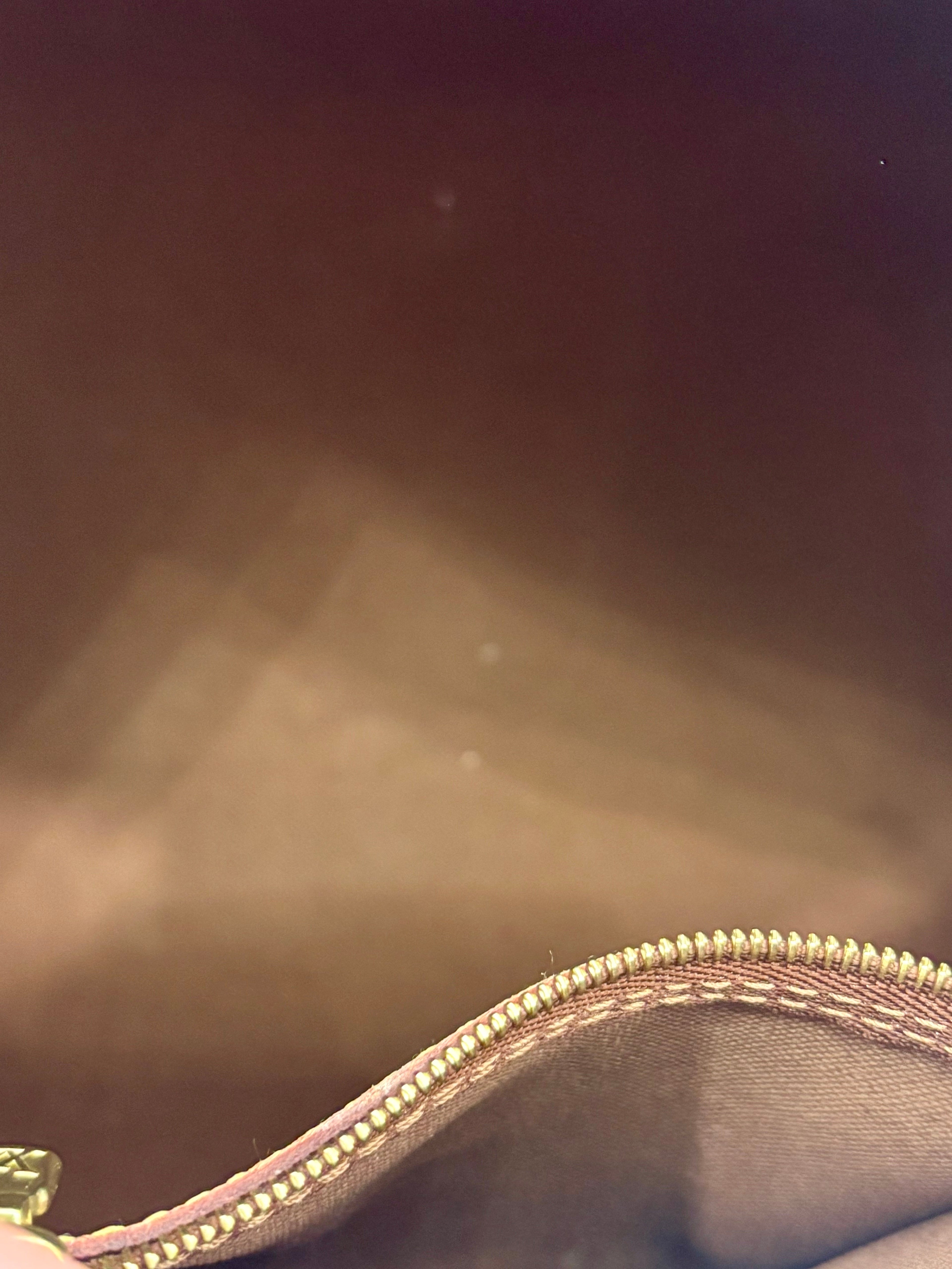 LOUIS VUITTON MONOGRAM SPEEDY 25 HANDBAG