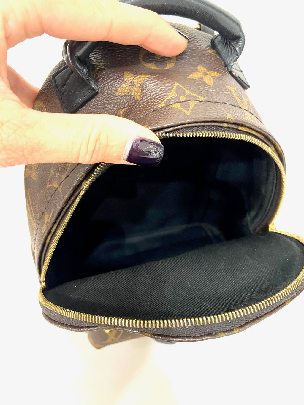 LOUIS VUITTON MONOGRAM PALM SPRINGS MINI BACKPACK