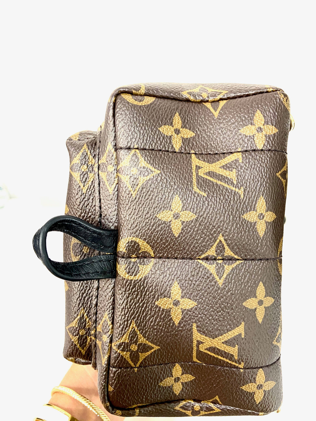 LOUIS VUITTON MONOGRAM PALM SPRINGS MINI BACKPACK