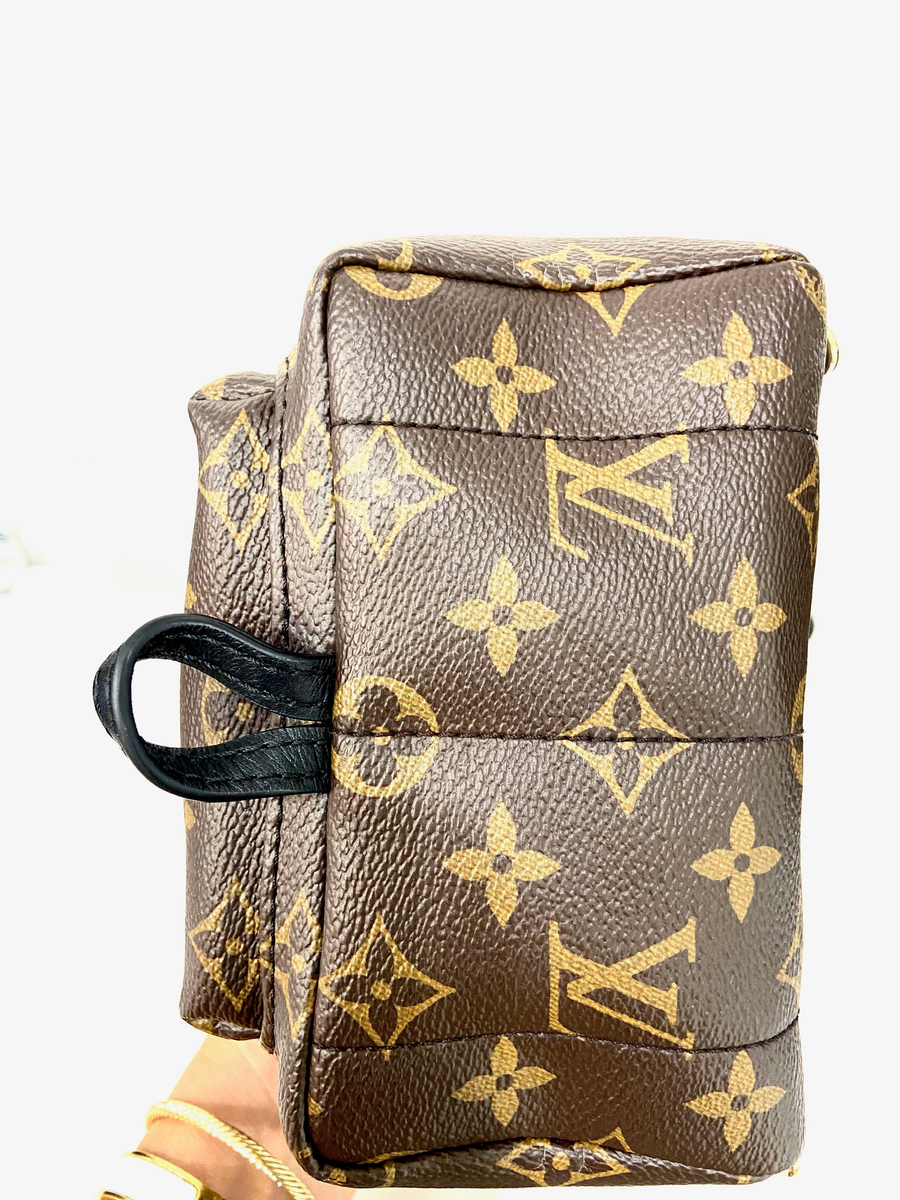 LOUIS VUITTON MONOGRAM PALM SPRINGS MINI BACKPACK