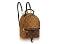 LOUIS VUITTON MONOGRAM REVERSE PALM SPRING MINI BACKPACK