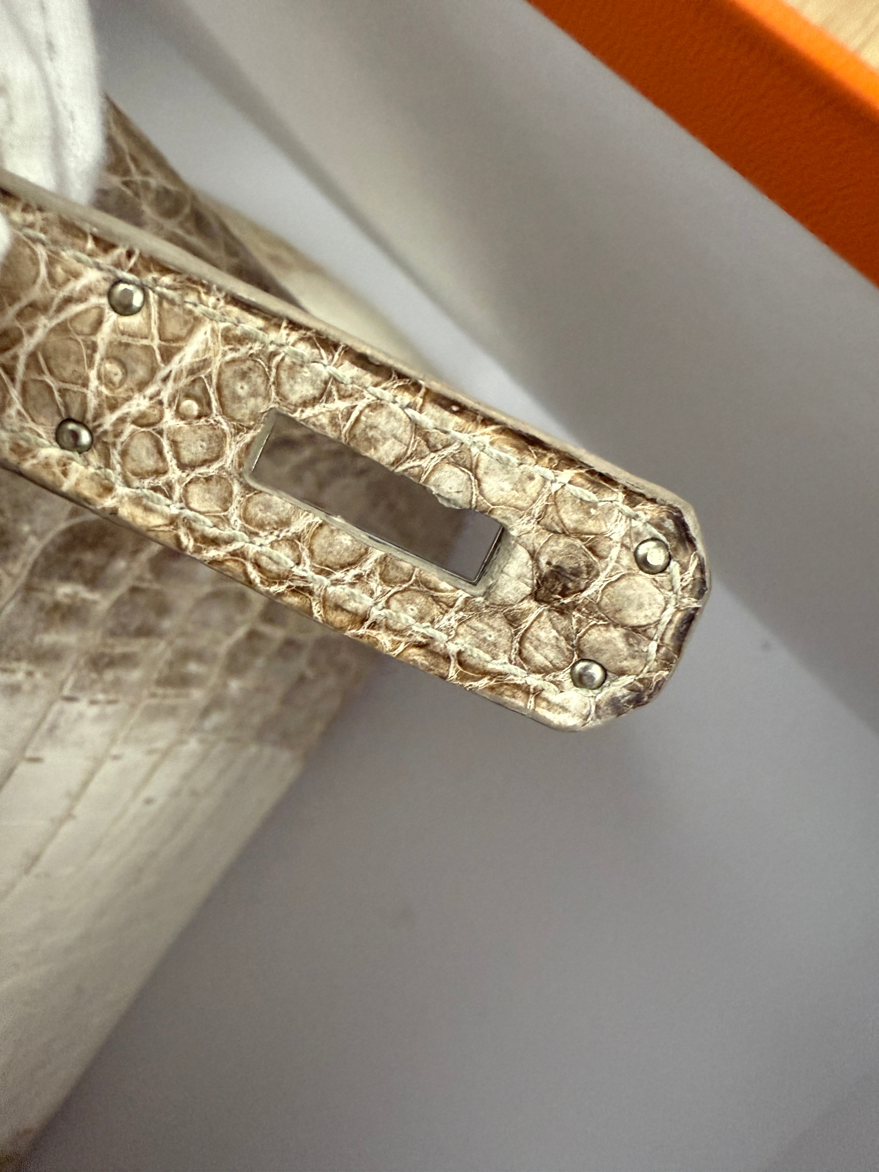Blanc Matte Niloticus Crocodile Himalaya Birkin 30 PHW