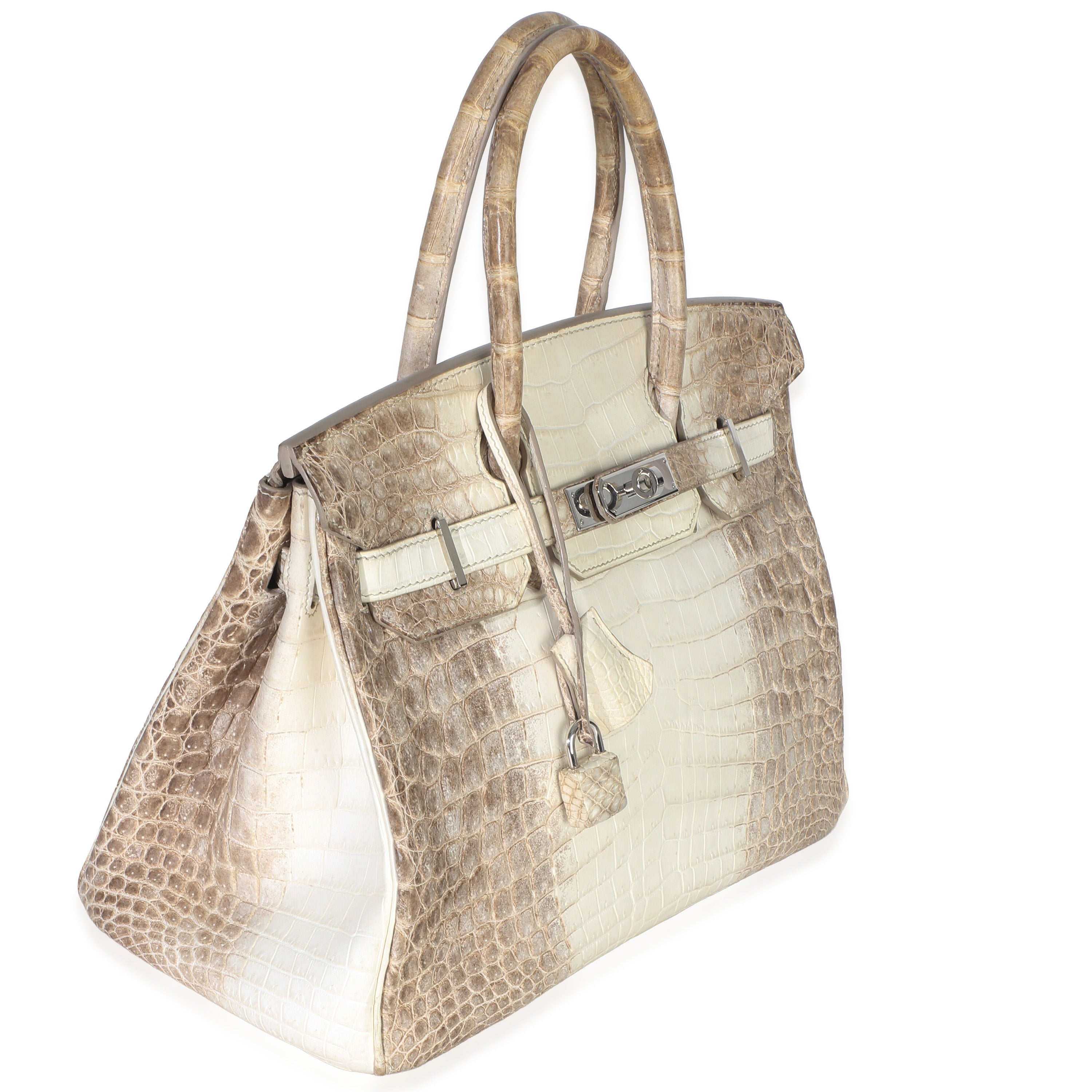 Blanc Matte Niloticus Crocodile Himalaya Birkin 30 PHW