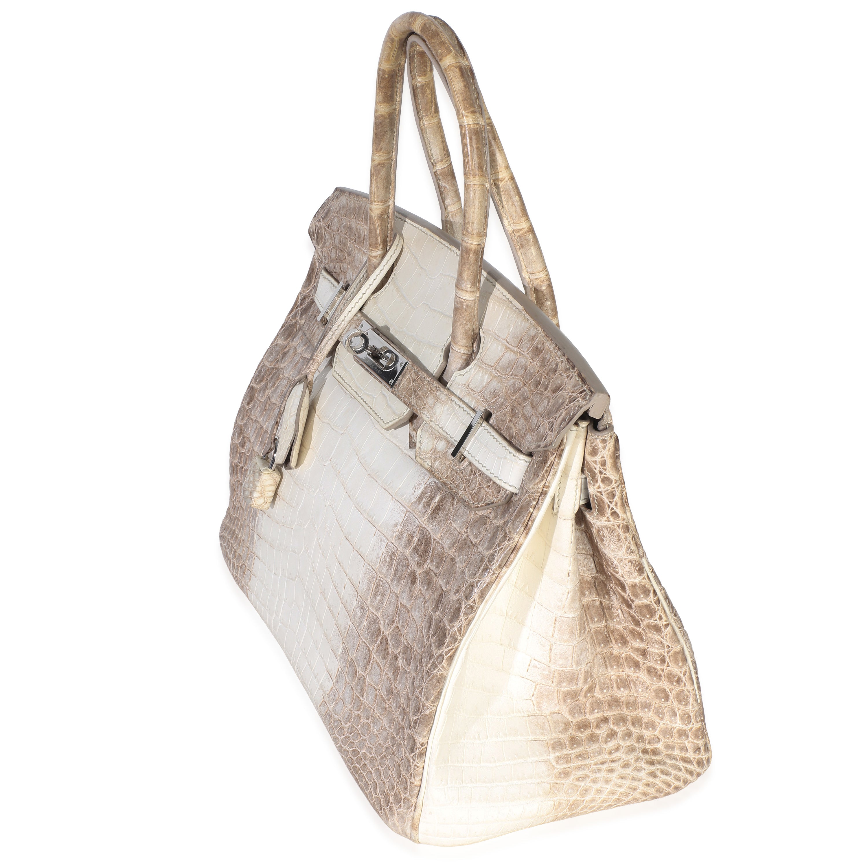 Blanc Matte Niloticus Crocodile Himalaya Birkin 30 PHW