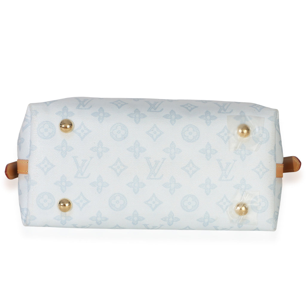 Bleu Courrier Origine Monogram Canvas CarryAll PM