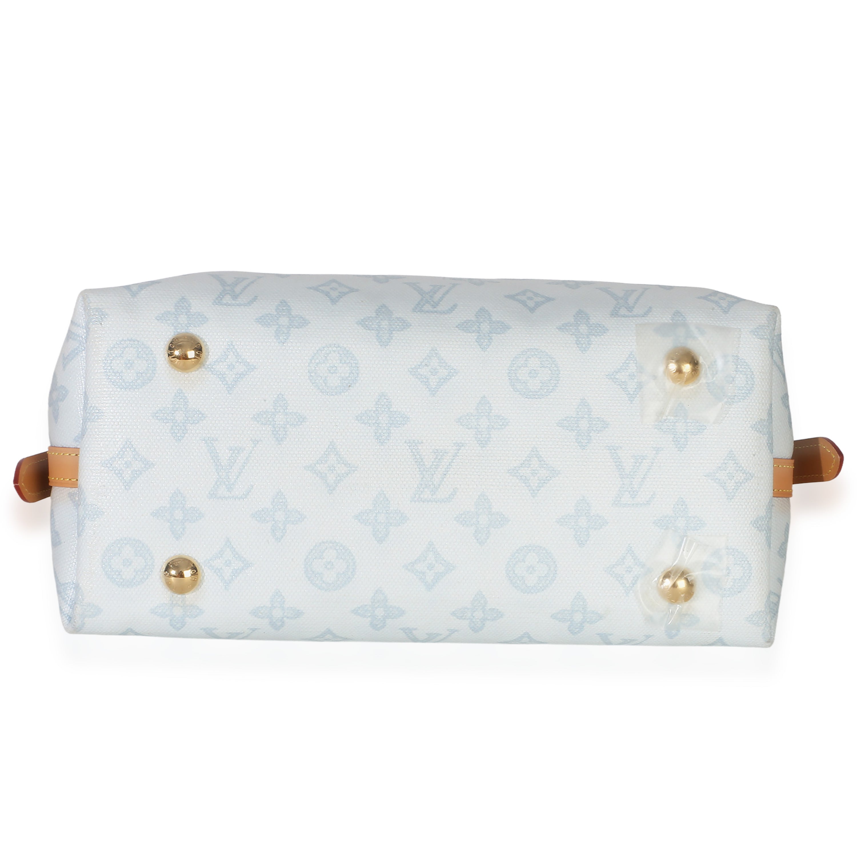 Bleu Courrier Origine Monogram Canvas CarryAll PM