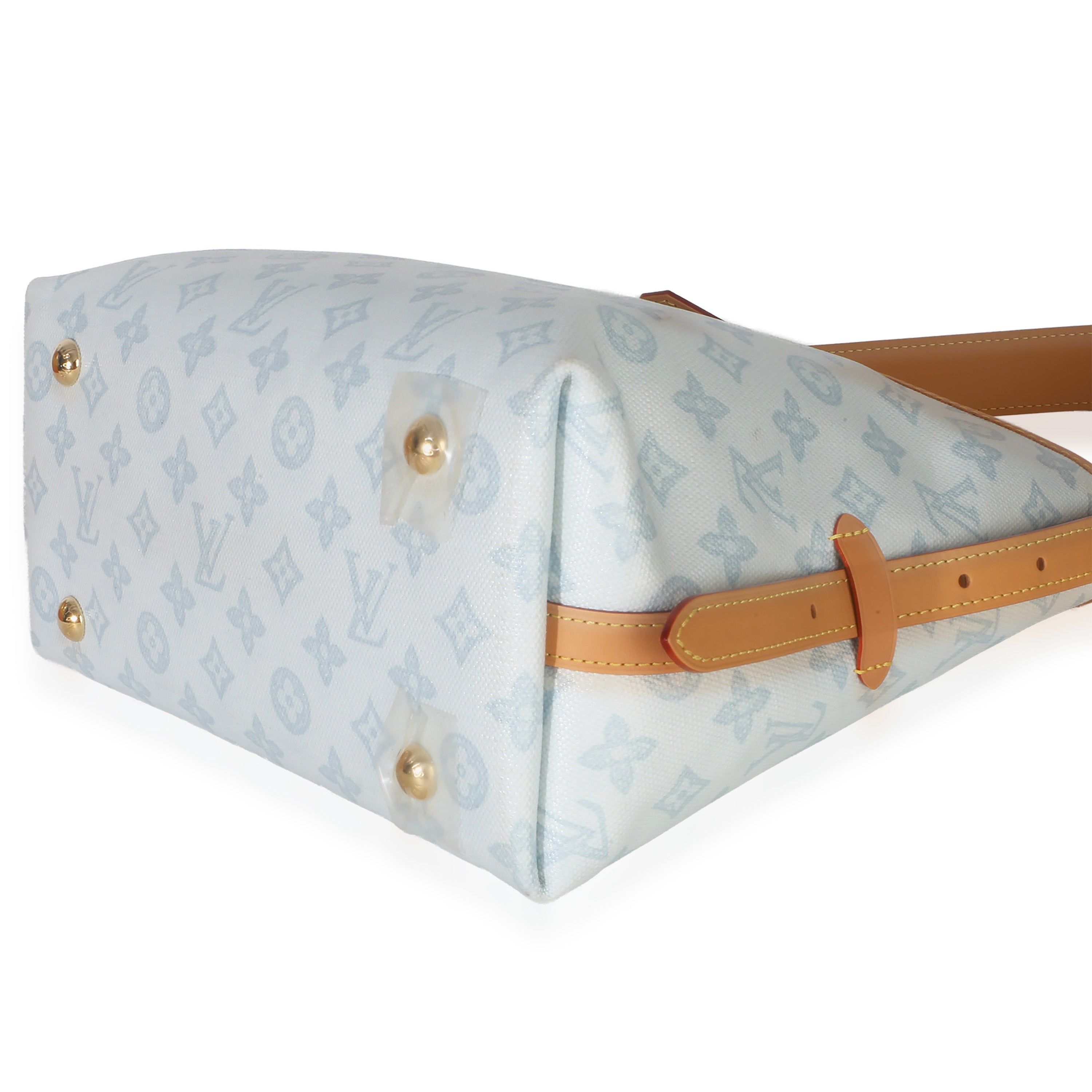 Bleu Courrier Origine Monogram Canvas CarryAll PM