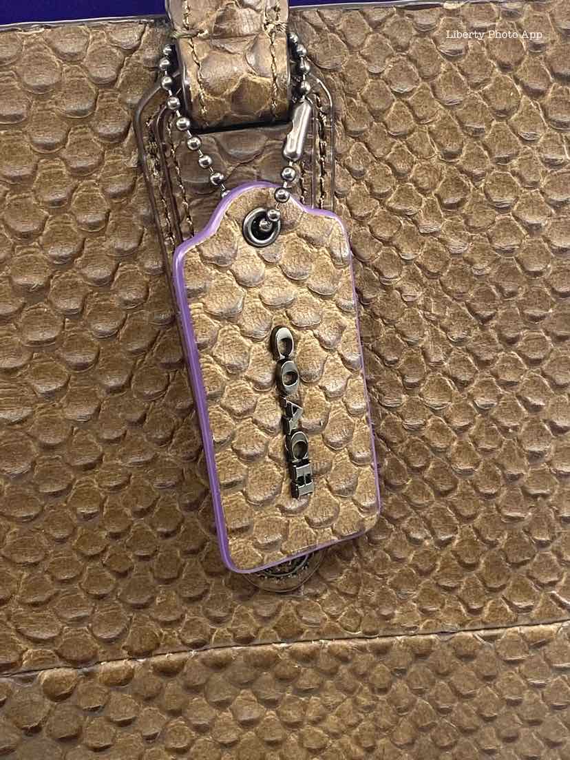 COACH Brown Python Solid Handbag
