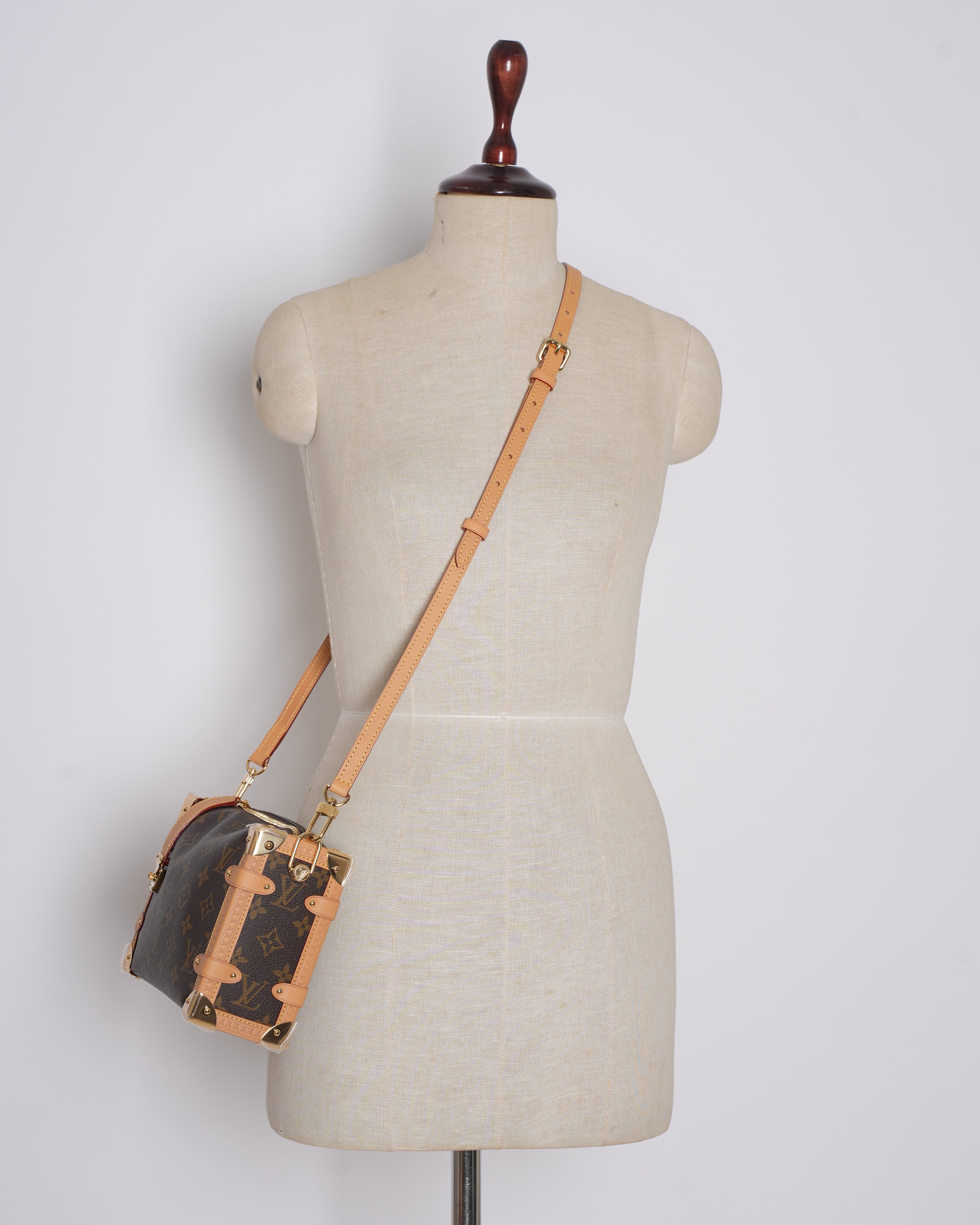 New Louis Vuitton MM Side Trunk