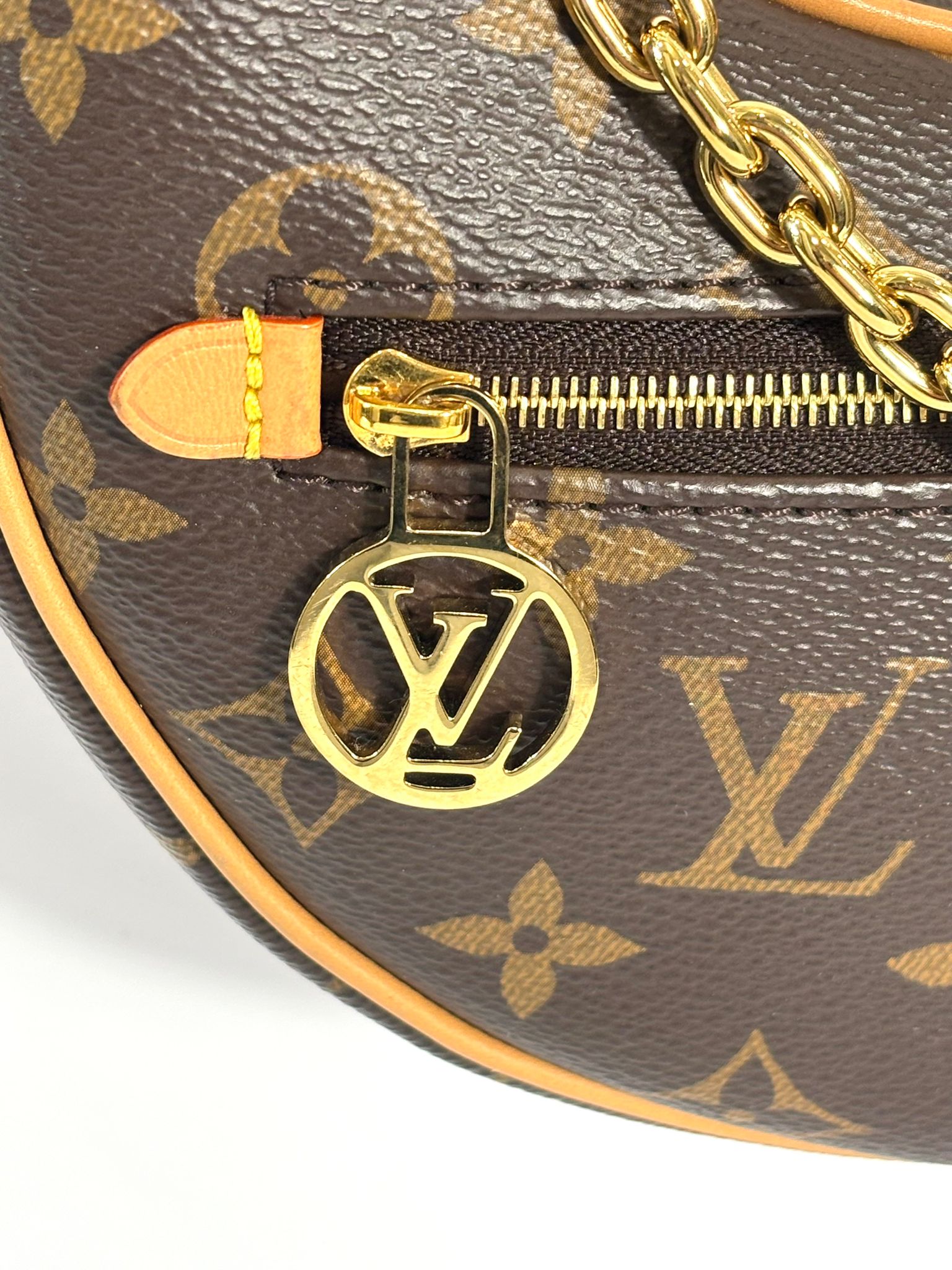 LOUIS VUITTON MONOGRAM CANVAS LOOP BAG