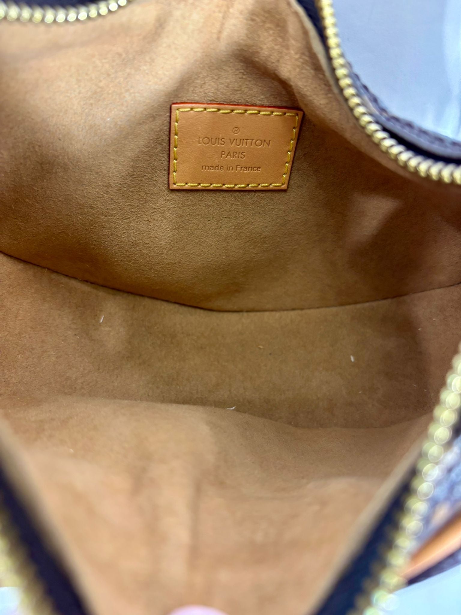 LOUIS VUITTON MONOGRAM CANVAS LOOP BAG