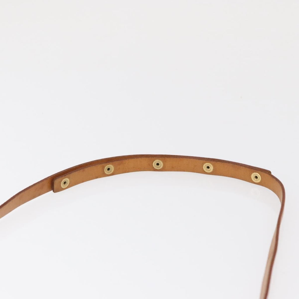 Louis Vuitton Florentine Waist Bag Monogram Canvas Brown Canvas Clutche & Pouche Bag (Pre-Owned)