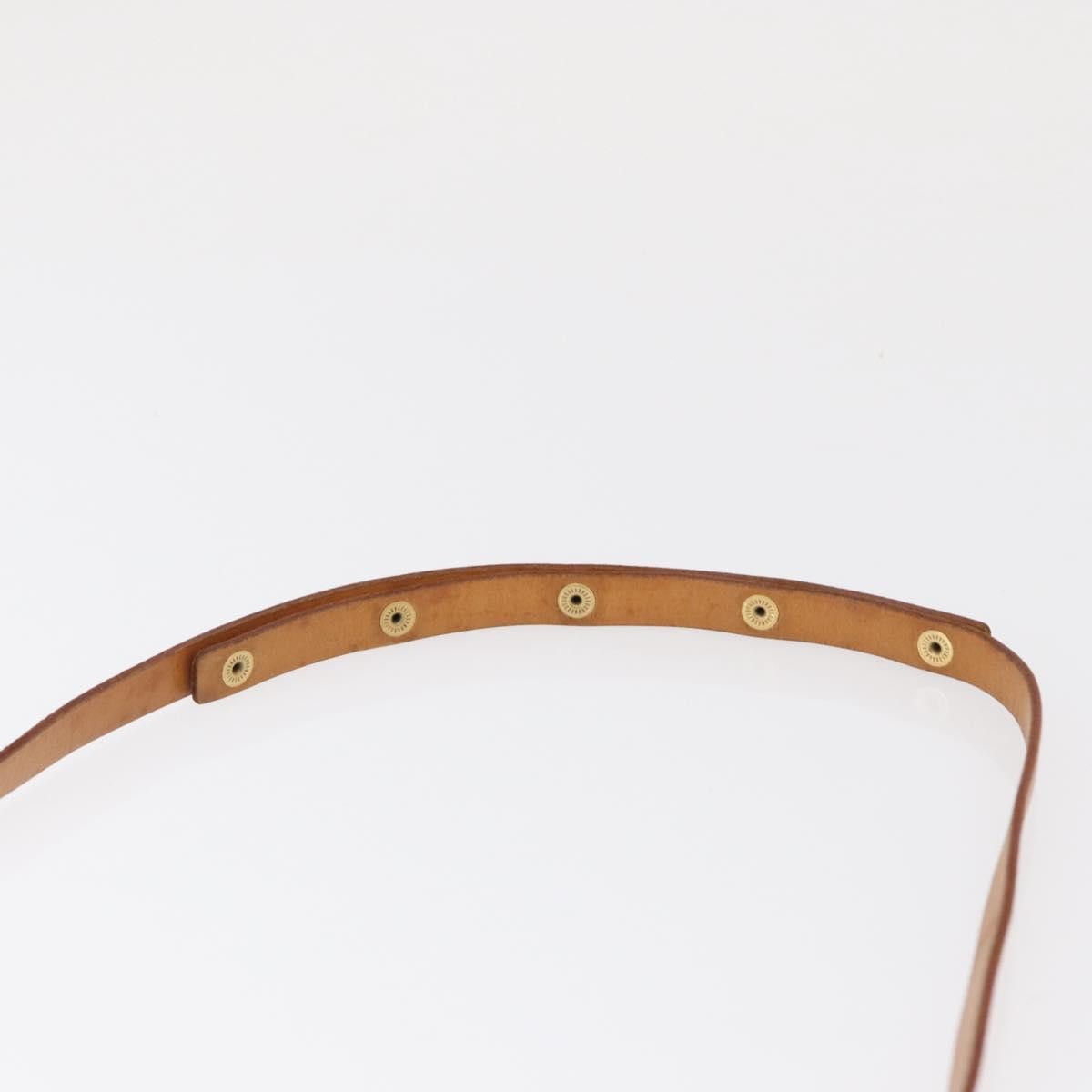 Louis Vuitton Florentine Waist Bag Monogram Canvas Brown Canvas Clutche & Pouche Bag (Pre-Owned)