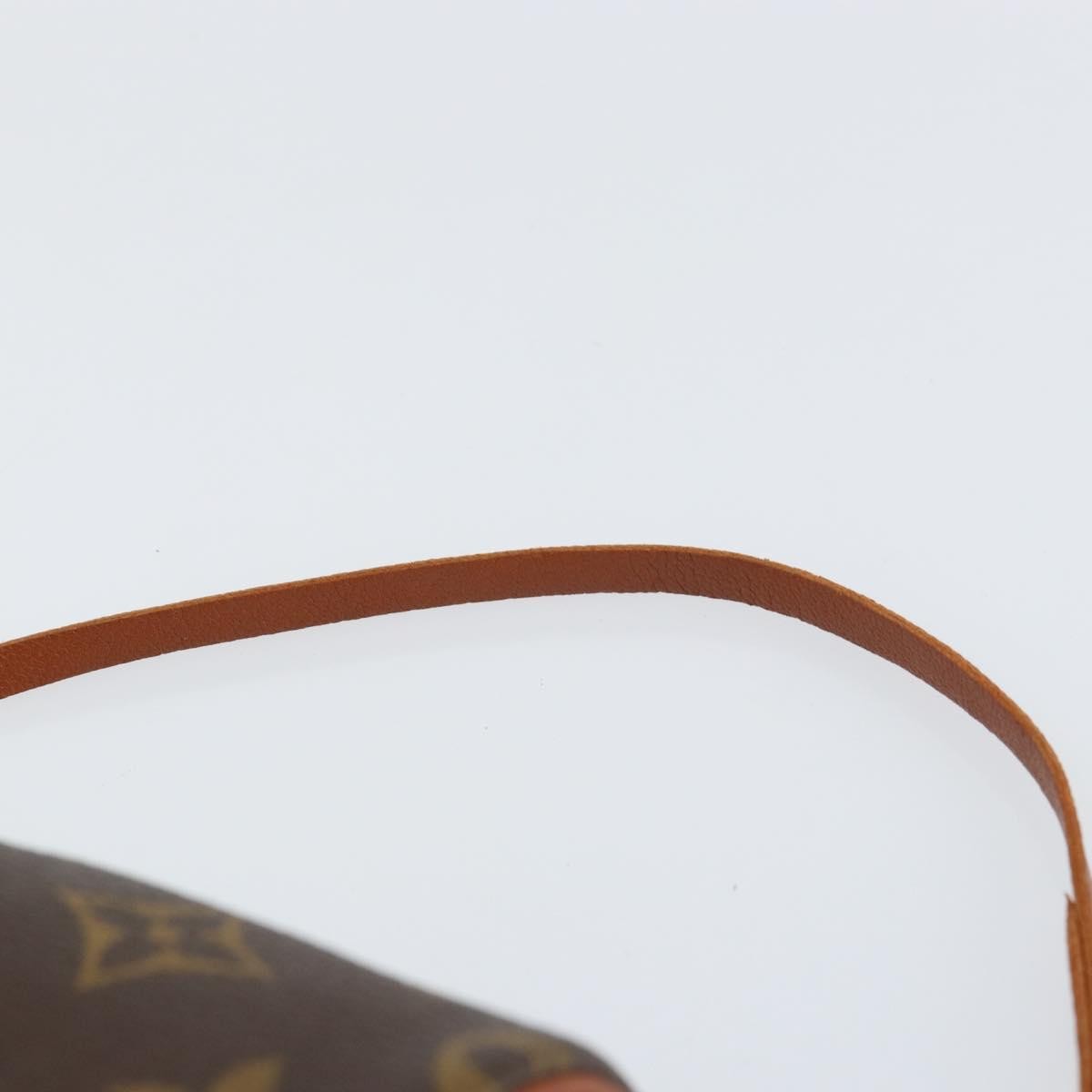Louis Vuitton Papillon Pochette Monogram Canvas Brown Canvas Clutche & Pouche Bag (Pre-Owned)