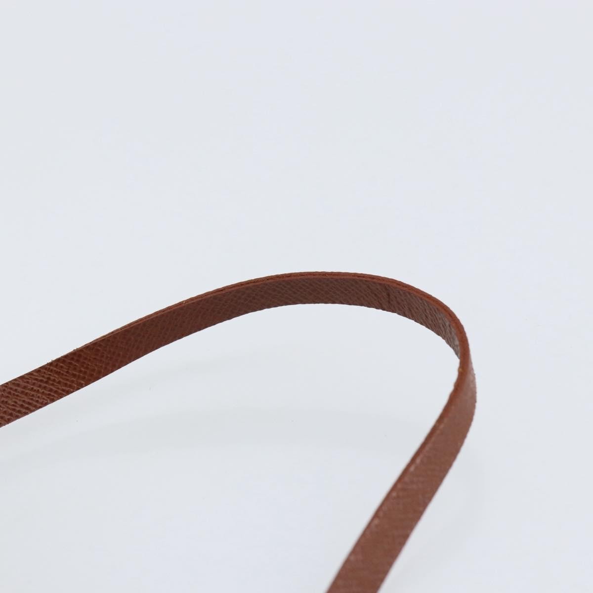 Louis Vuitton Papillon Pochette Monogram Canvas Brown Canvas Clutche & Pouche Bag (Pre-Owned)