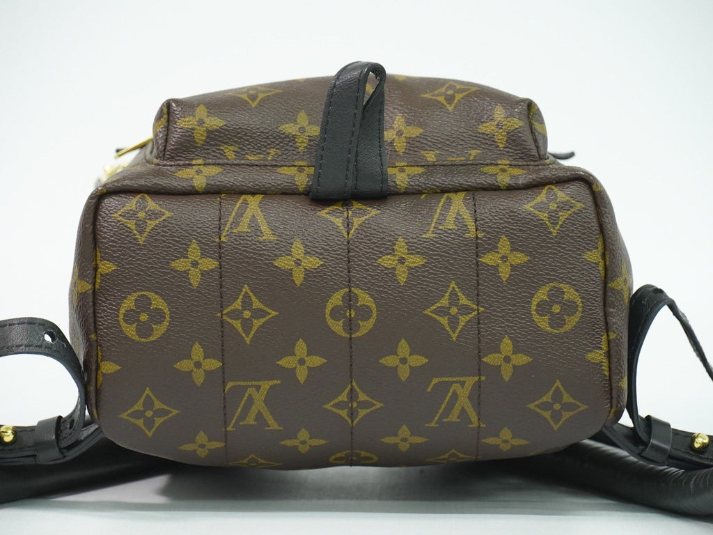 Louis Vuitton Palm Springs Backpack Monogram Canvas Brown Canvas Backpack Bag (Pre-Owned)