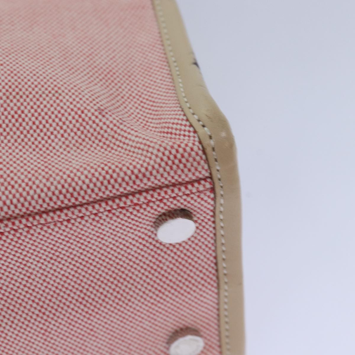 Burberry Blue Label Handbag Canvas Pink Canvas Handbag (Pre-Owned)