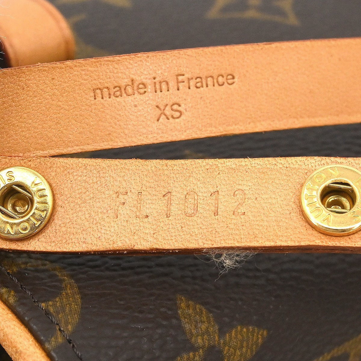 Louis Vuitton Florentine Waist Bag Monogram Canvas Brown Canvas Clutche & Pouche Bag (Pre-Owned)