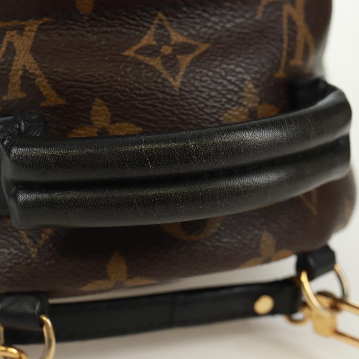 Louis Vuitton Palm Springs Backpack Limited Edition World Tour Monogram Canvas Brown Canvas Backpack Bag (Pre-Owned)