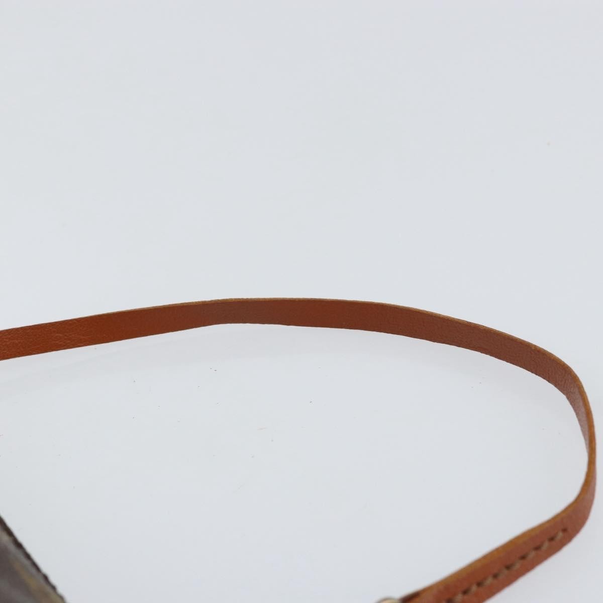 Louis Vuitton Papillon Pochette Monogram Canvas Brown Canvas Clutche & Pouche Bag (Pre-Owned)