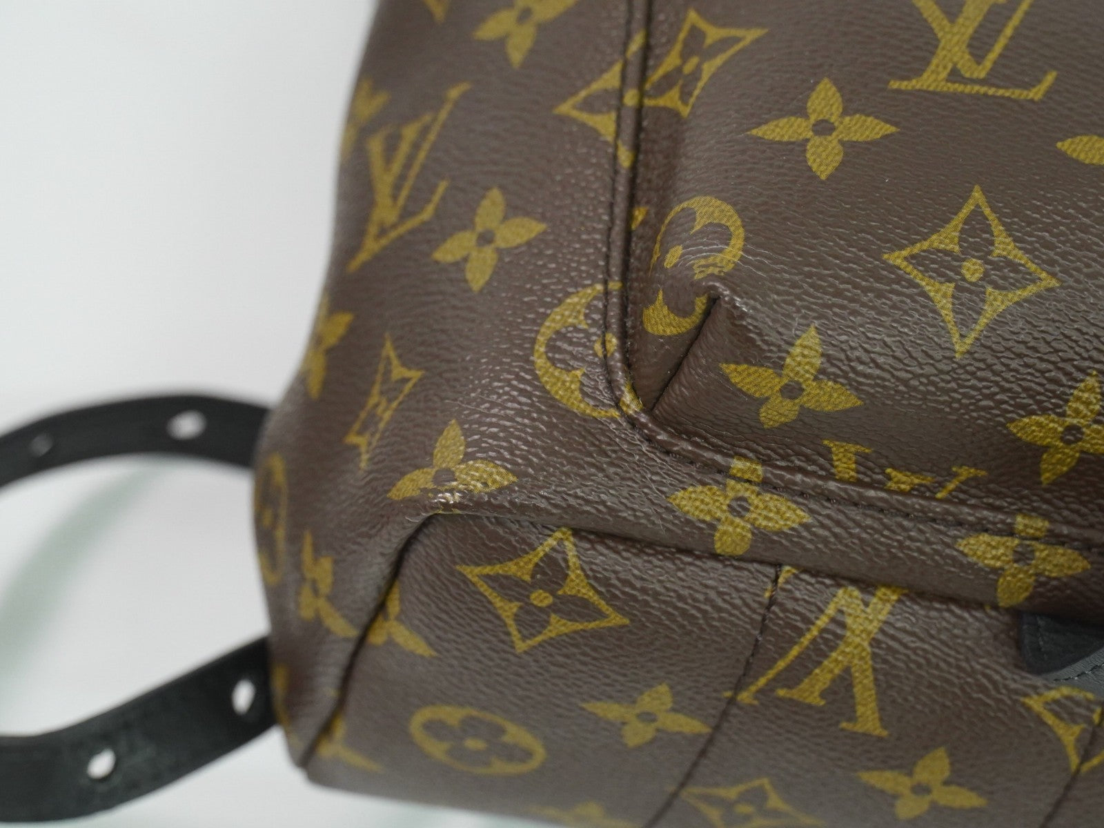 Louis Vuitton Palm Springs Backpack Monogram Canvas Brown Canvas Backpack Bag (Pre-Owned)