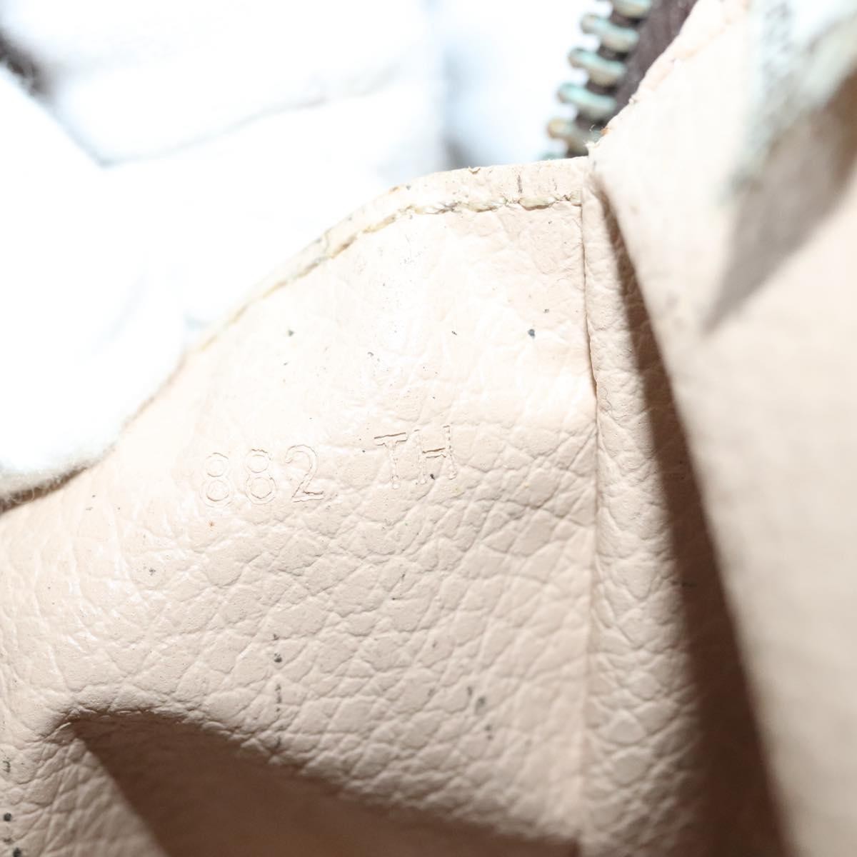 Louis Vuitton Trousse Toilette Monogram Canvas Brown Canvas Clutche & Pouche Bag (Pre-Owned)