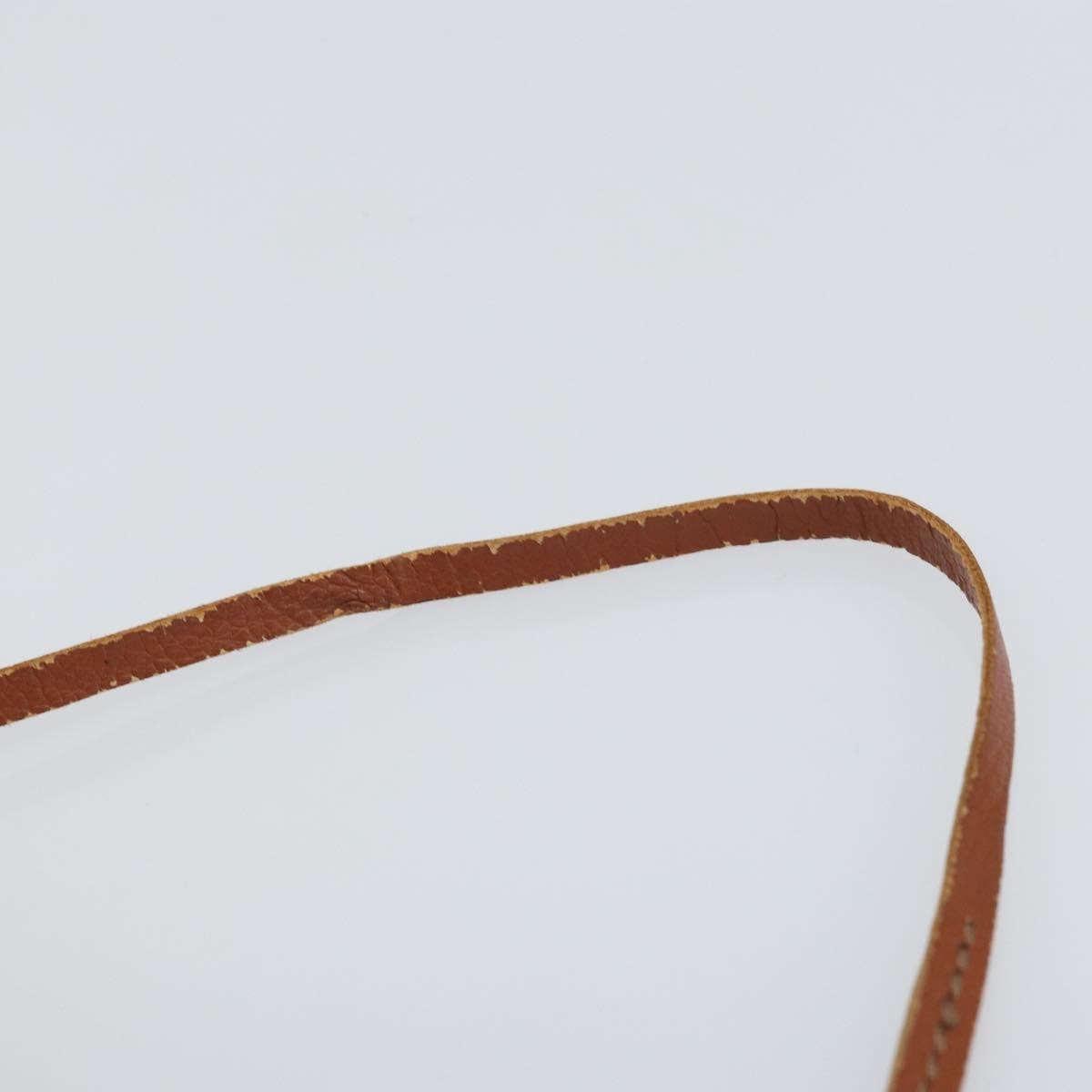 Louis Vuitton Papillon Pochette Monogram Canvas Brown Canvas Clutche & Pouche Bag (Pre-Owned)