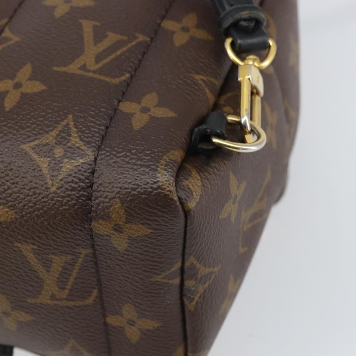 Louis Vuitton Palm Springs Backpack Monogram Canvas Brown Canvas Backpack Bag (Pre-Owned)