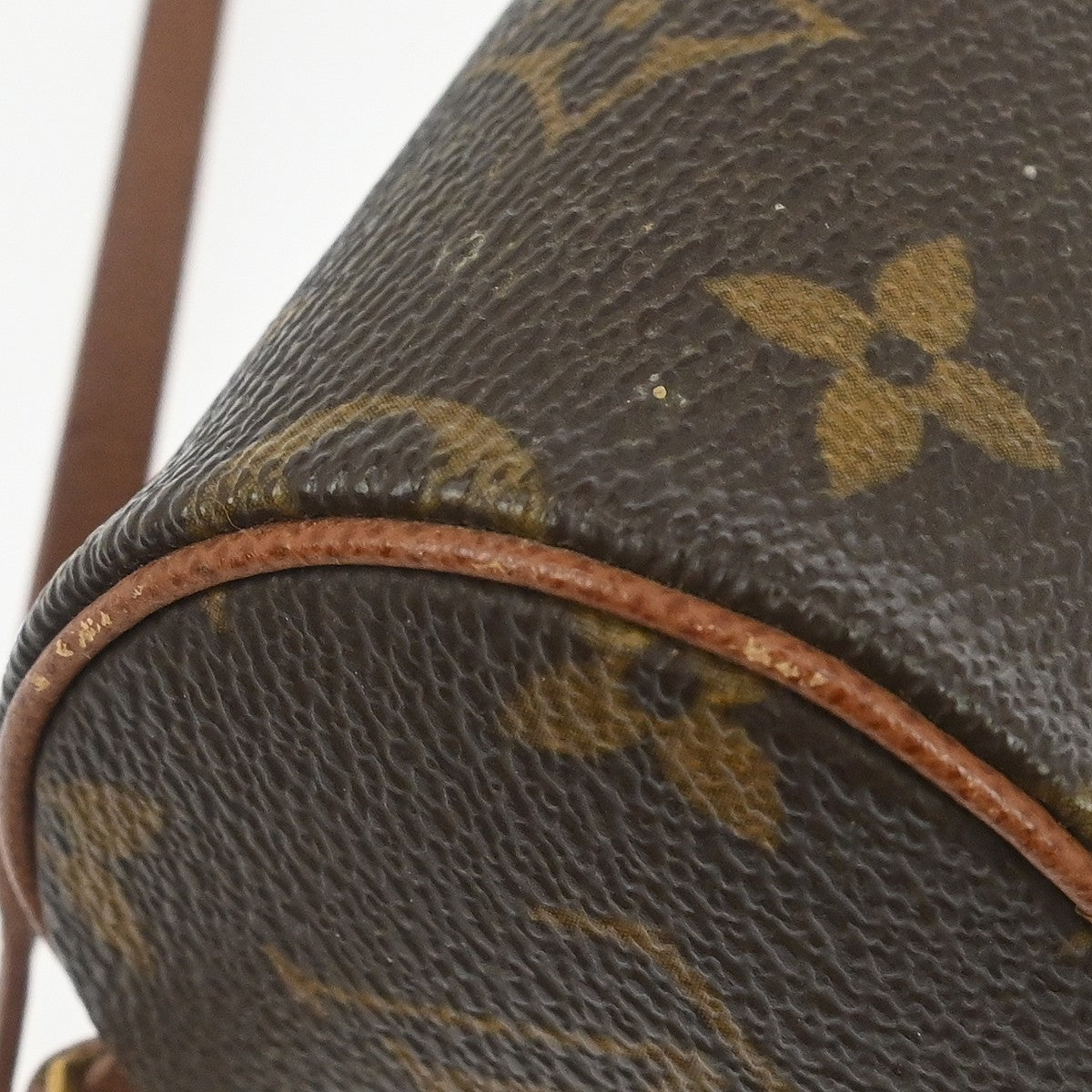 Louis Vuitton Papillon Pochette Monogram Canvas Brown Canvas Clutche & Pouche Bag (Pre-Owned)